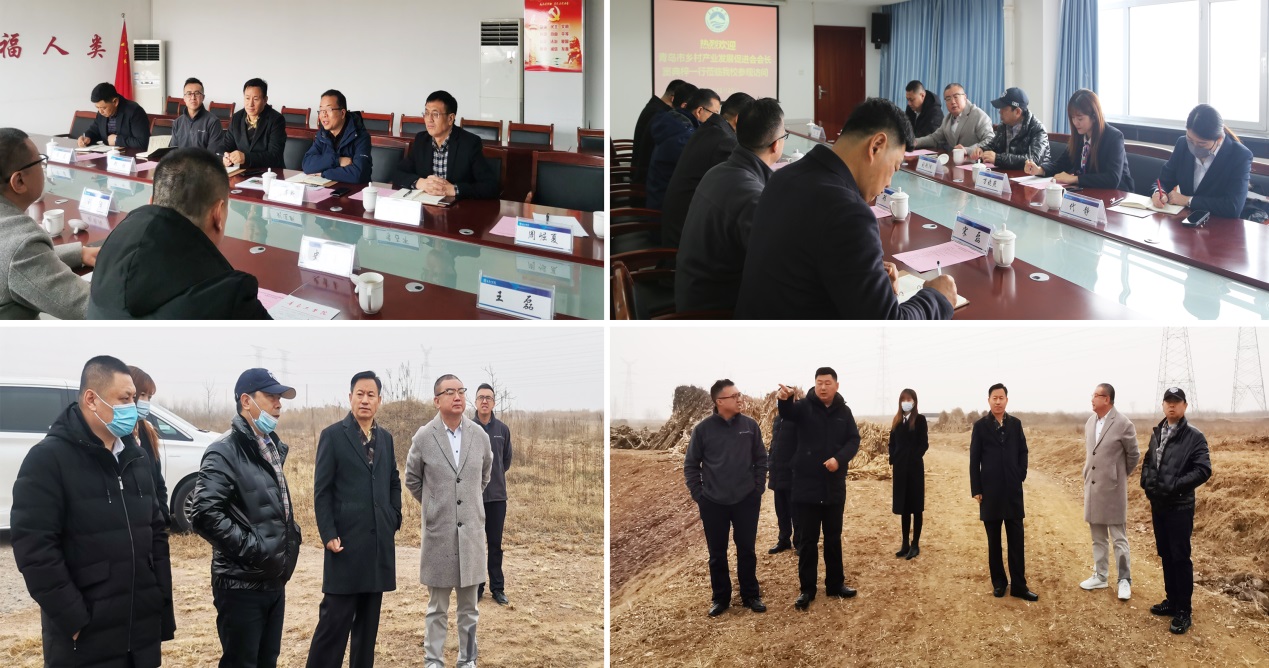 青岛市乡村产业发展促进会窦典梓会长一行应邀来我校调研